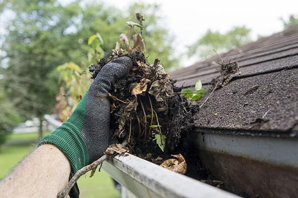 along with gutter cleaning, we also offer gutter inspection and minor repairs